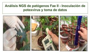 Análisis NGS de patógenos Fae II